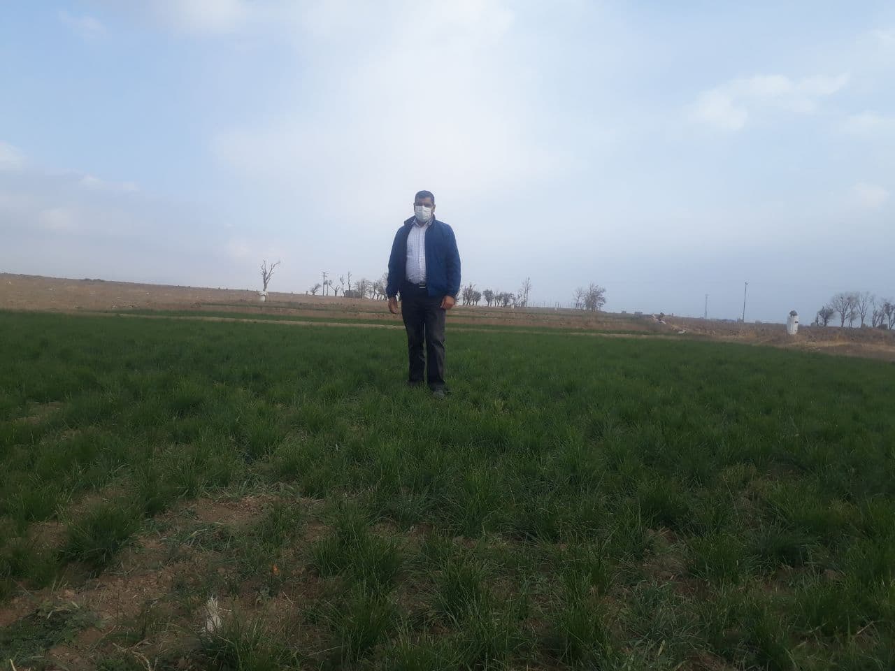 مزرعه کاظم میرزایی